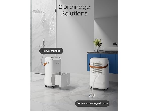 ASAHWo Dehumidifier