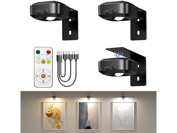 Lightbiz Picture Light Black 3 Pcs