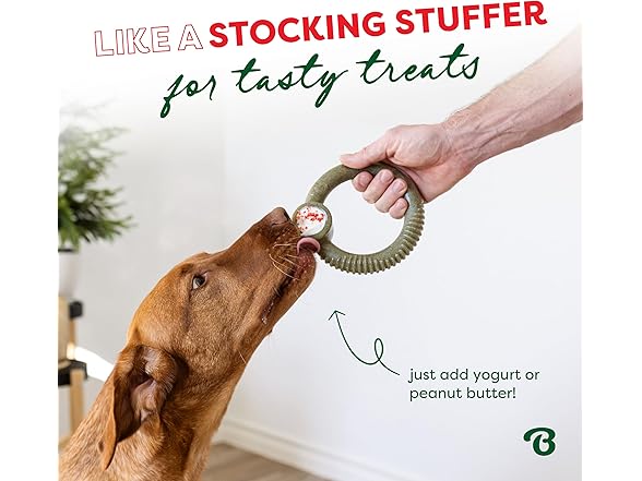 Benebone Peppermint Chew Toy Ring