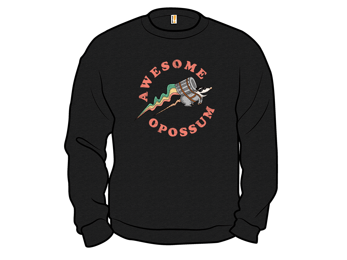 Awesome Opossum - Gallery 11