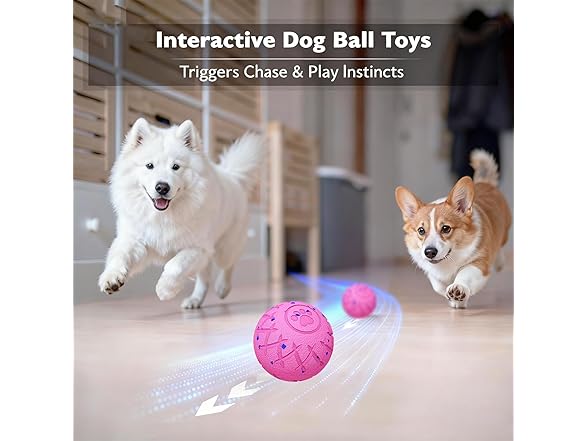 Interactive Dog Toys