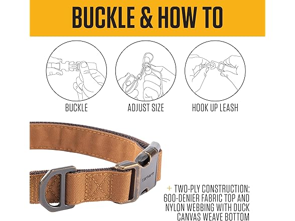 Carhartt Field Dog Collar, Fully Adjustable Greenstone, Med