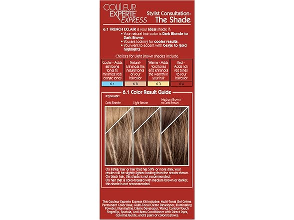 LOreal Paris Couleur Experte 2-Step Hom