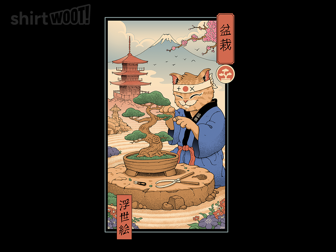 Bonsai Cat Meowster - Gallery 9