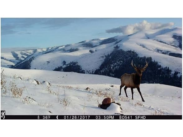 Browning Trail Cameras Strike Force Pro X