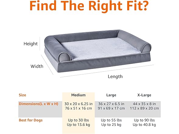 Amazon Basics Living Room Couch Dog Bed