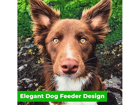 Bowsers Replacement Bowl for Replus Meshidai El