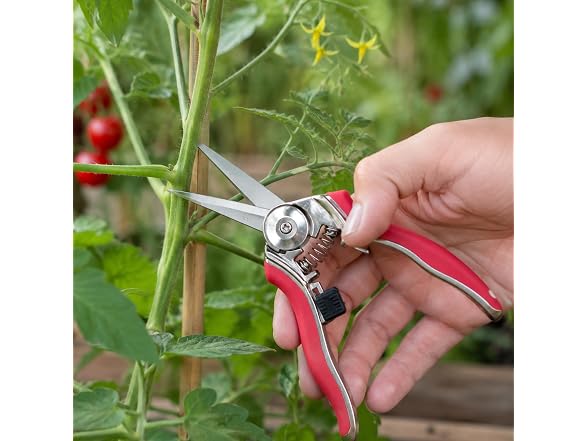 Stainless Steel Garden Snip, 6.75"