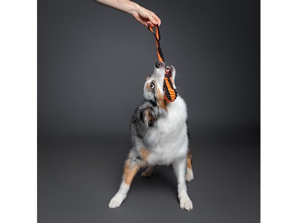 NOAH & PAW Luxury Dog Toy, Dog Rope Toy- Sling, Black