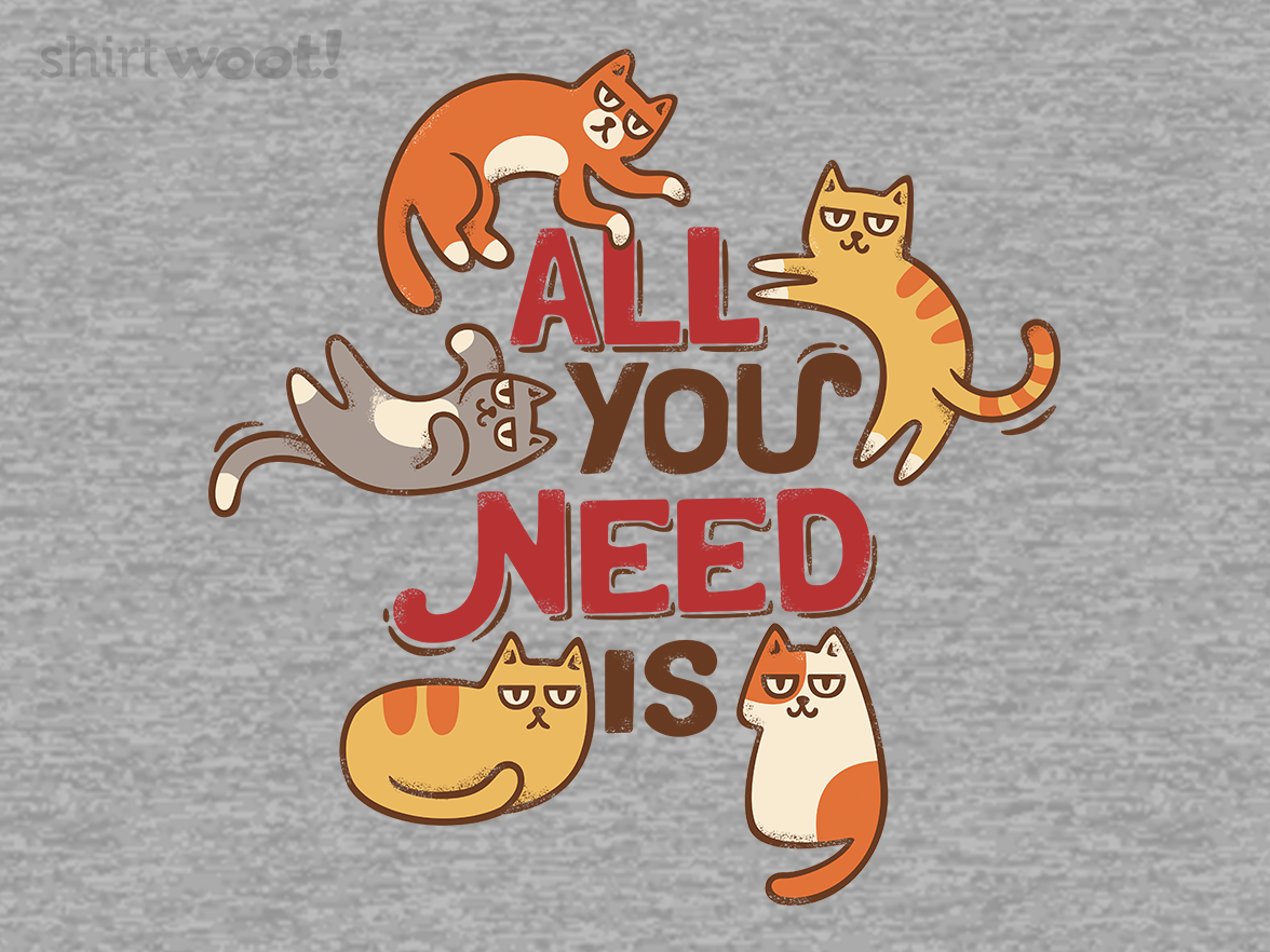 All You Need Is Cat - Gallery 4