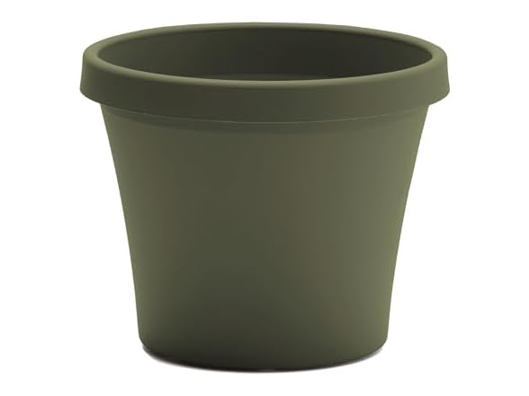 Bloem Terra Pot Planter 4in Living Green
