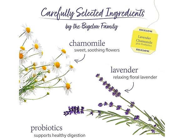 18CT Bigelow Tea Lavender Chamomile plus Probiotic