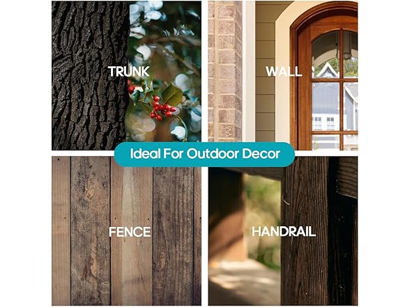 Verdelume Dragon Outdoor Porch Decor