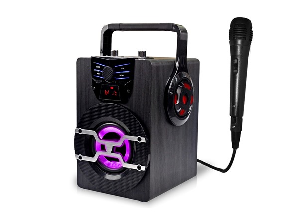 Technical Pro 1250W Portable Party Speaker