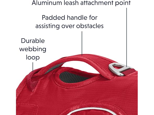 Ruffwear, Web Master, Multi-Use Support Dog