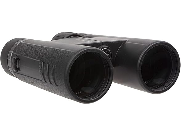 Sig Sauer SOBM10421 10x42mm Buckmaster Binoculars Black