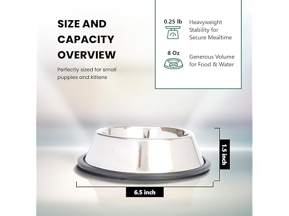 ICONIC PET 8 oz, 1 Cup SS Non Skid Pet Bowl