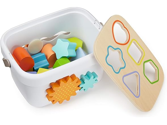 Amazon Basics Wooden Shape Sorter