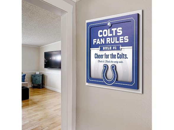 YouTheFan NFL Colts 3D Fan Rules Wall Art