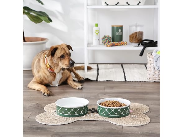 Bone Dry Trellis Paw Print Pet Bowl Set