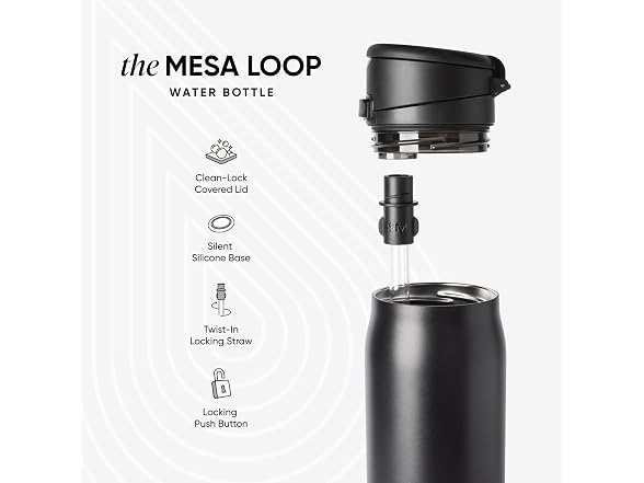 Simple Modern Christmas Water Bottle with Straw & Handle | 24oz | Trees