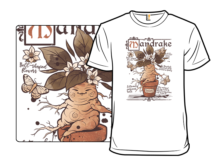 Cute Mandrake Root - Gallery 3