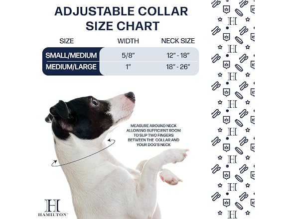Hamilton Adjustable Waterproof Dog Collar, Blue Md/Lg