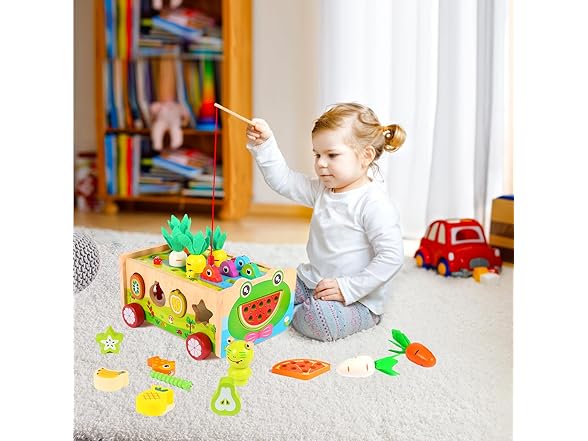 Montessori Toys Wooden Shape Sorter