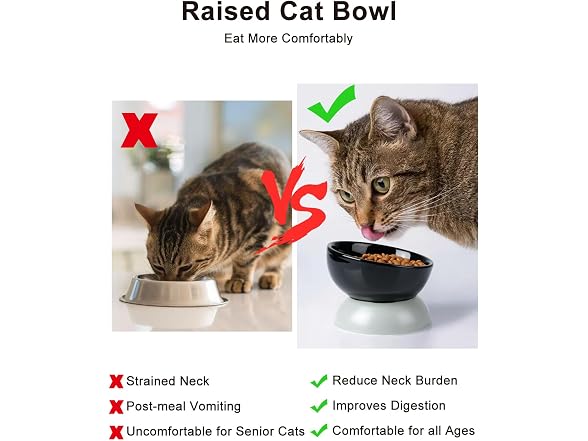 ABRUTY Cat Water Bowl, 16 OZ Ceramic Elevated