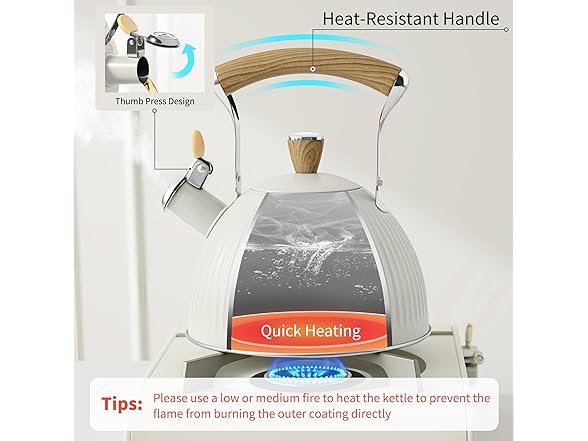 2.5 Qt Tea Kettle
