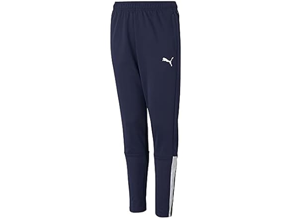 PUMA Teamliga Sweatpants (L)