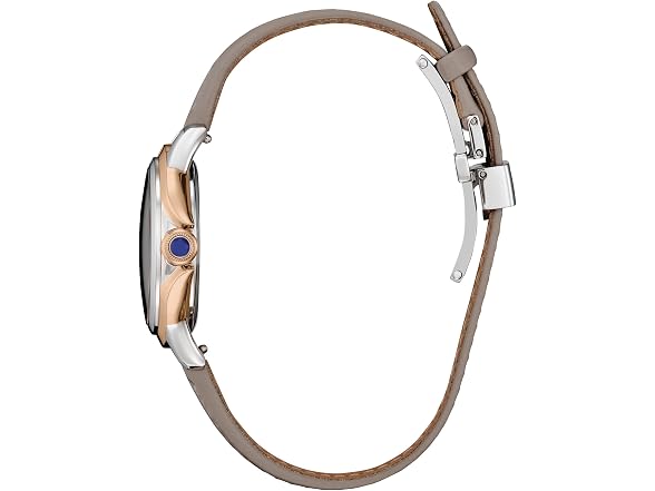 Citizen Citrizen Eco-Drive Women's Ceci Brown