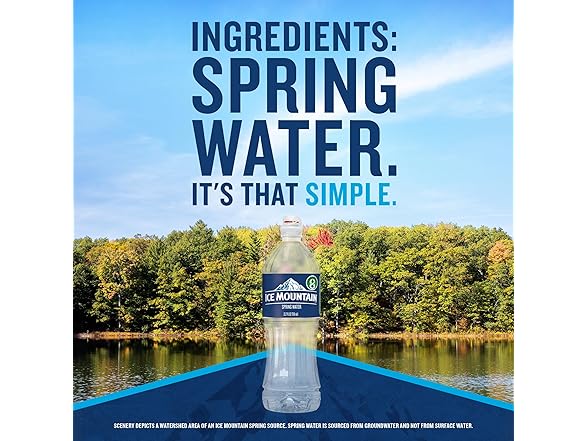 Ice Mountain Spring Water, 6 Pack