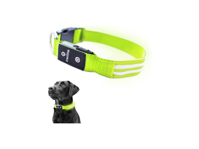 Tractive Tractive LED Light Up Dog Collar USB Rechargeable