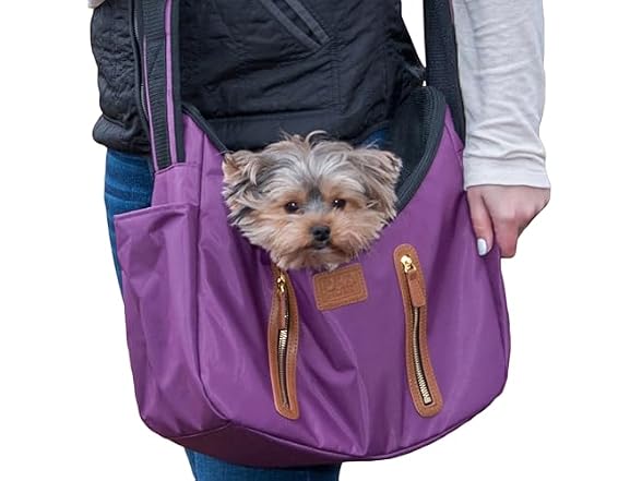 Pet Gear Carrier and Car Seat, Dark Raspberry