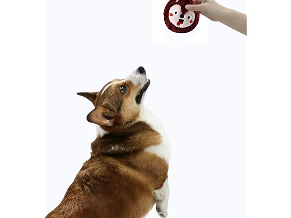 HugSmart Pet - Zoo Ball | 2-in-1 Plush and Sq