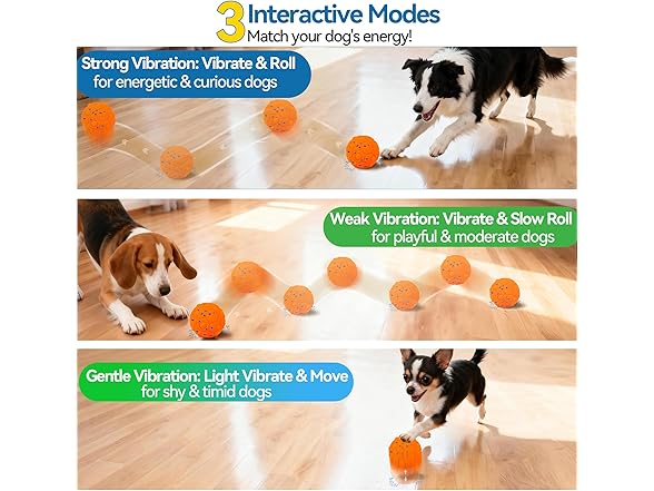 Newget Interactive Dog Toy
