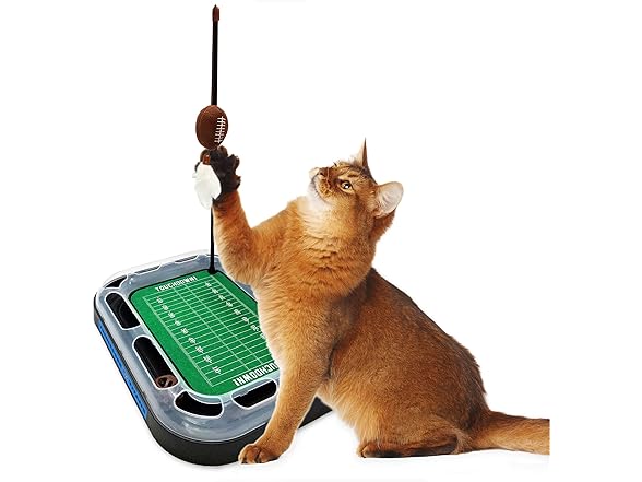 Pets First NFL BALTIMORE RAVENS FOOTBALL FIELD