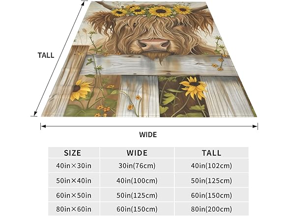 ainori for Boho Highland Cow