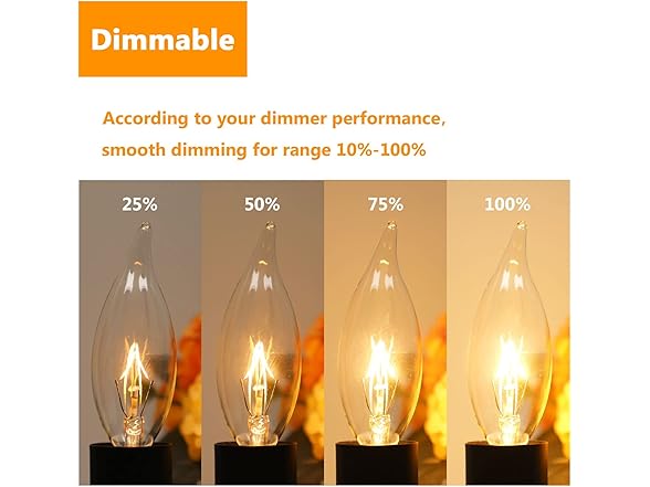 Brightever 12-Pk Vintage Incandescent Light Bulbs 40W