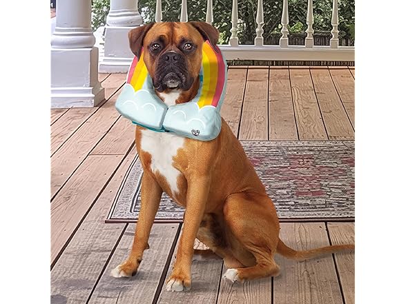 Rainbow Inflatable Dog Recovery Collar