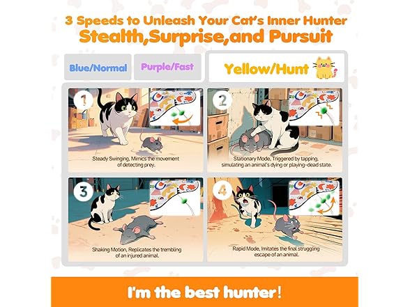 aktor Hide and Seek Cat Toy