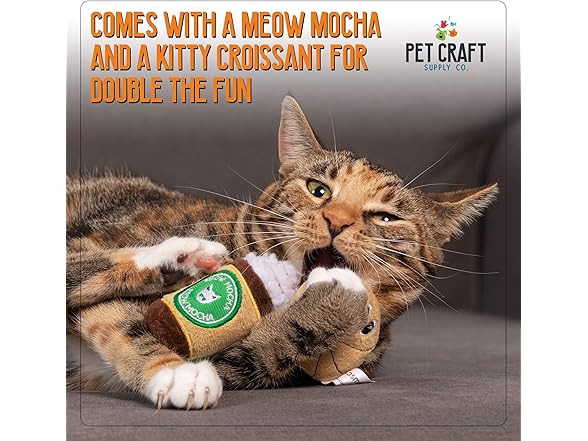 Pet Craft Supply Catnip Crinkle Toy 2Pk