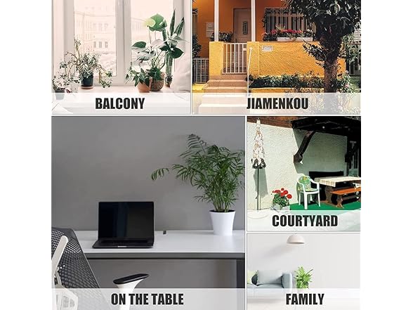 YUEQISM Golden Retriever Decor