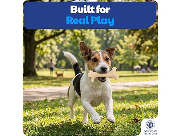 American Kennel Club Training Dog Chew Toy, PP Branch