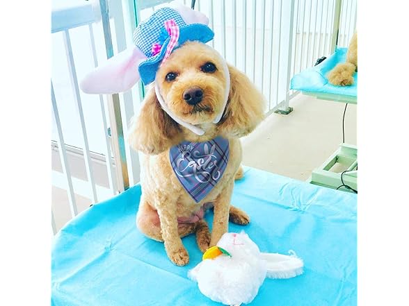 Pawskido Dog Easter Bandana - Pack of 2
