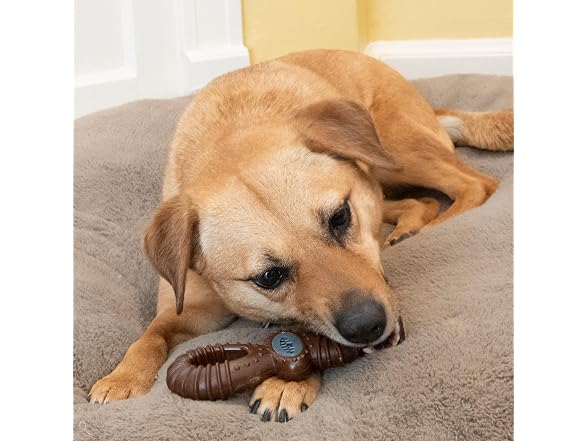 SPOT Bam-Bones Dental Pacifier Dog Chew Toy, Bison