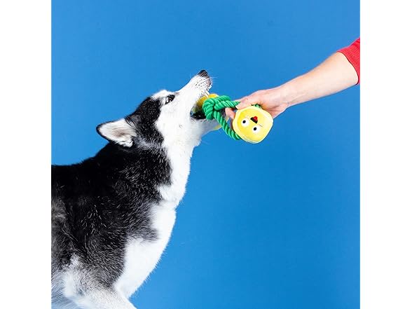 Fringe Studio Plush Dog Toy with Rope