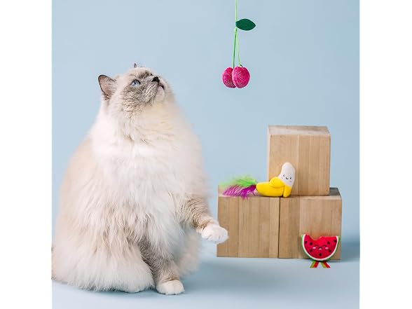 Fringe Studio The Sweetest Bunch 3-Piece Plush Cat Toy