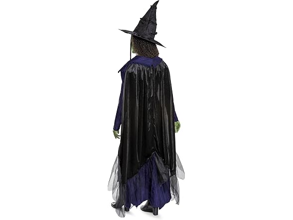 Disguise Wicked Elphaba Adult Deluxe Costume Small (4-6)
